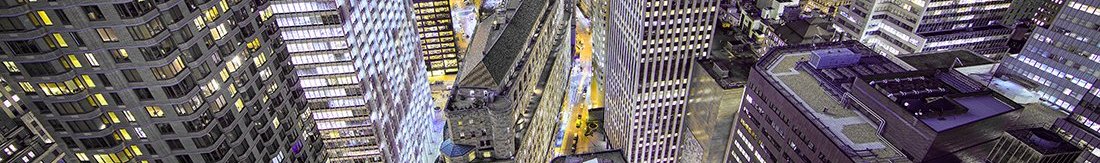 NYC_City_View